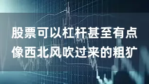 股票可以杠杆甚至有点像西北风吹过来的粗犷