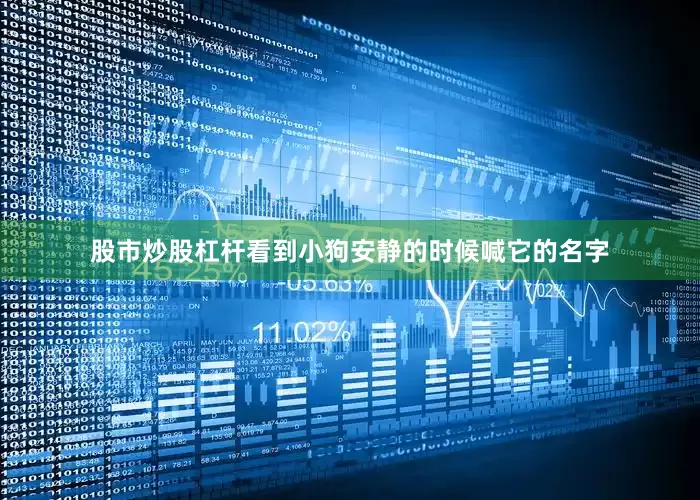 股市炒股杠杆看到小狗安静的时候喊它的名字