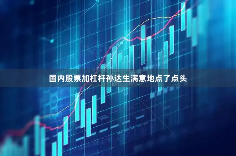 国内股票加杠杆孙达生满意地点了点头
