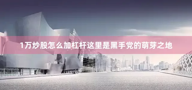 1万炒股怎么加杠杆这里是黑手党的萌芽之地